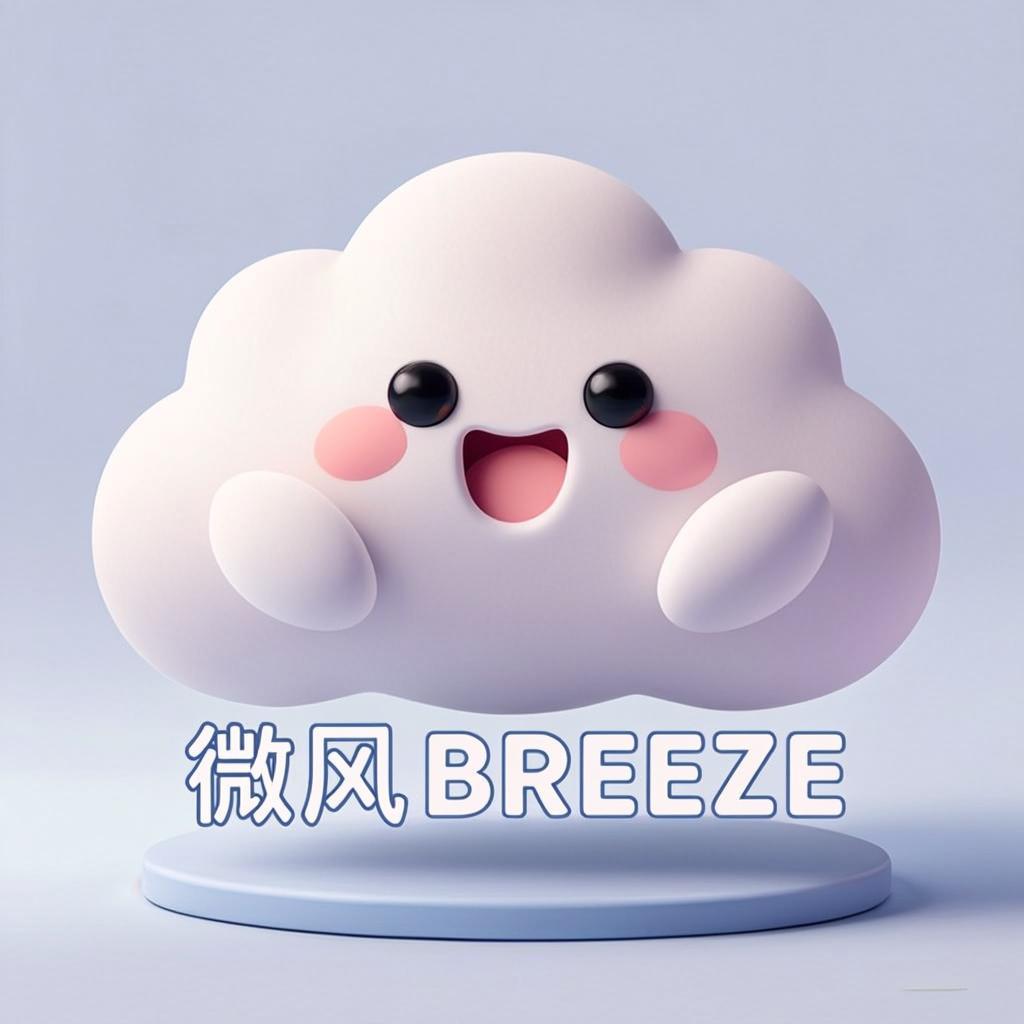 微风网络